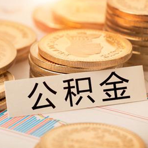 新年华人力资源公司