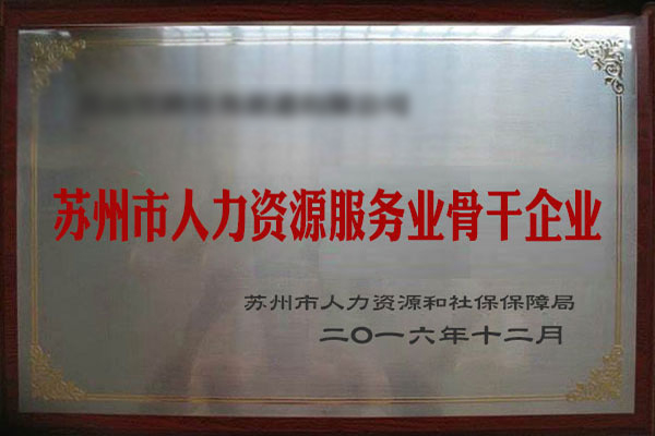 新年华荣誉资质