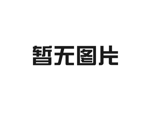 新年华人力资源公司